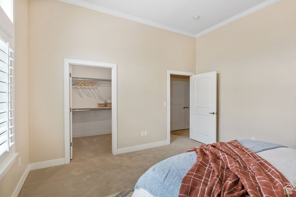 Bedroom featuring carpet floors, ornamental molding, baseboards, a walk in closet, and a high ceiling