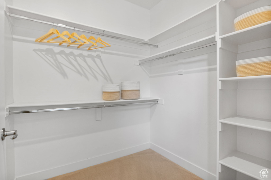 Walk in closet featuring light colored carpet