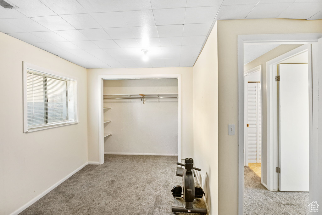 Interior space with carpet, a closet, and baseboards