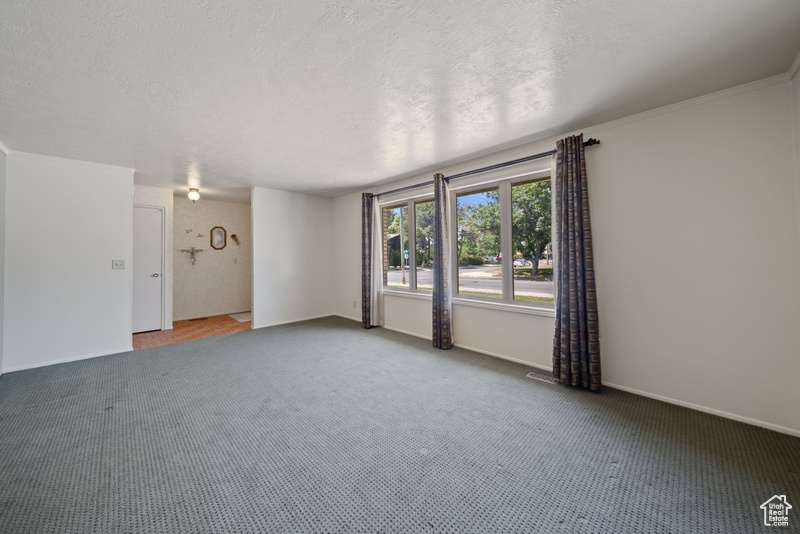 Spare room with carpet flooring, a textured ceiling, baseboards, and ornamental molding