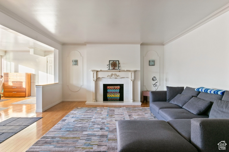 Living room featuring crown molding, wood finished floors, and a fireplace with raised hearth
