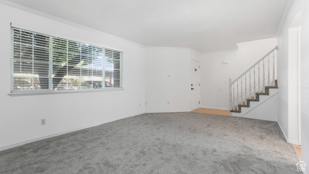 Unfurnished living room with stairs, carpet flooring, ornamental molding, and baseboards