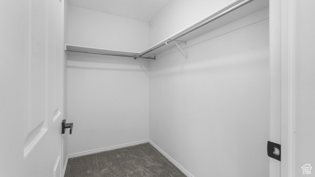 Spacious closet featuring dark carpet