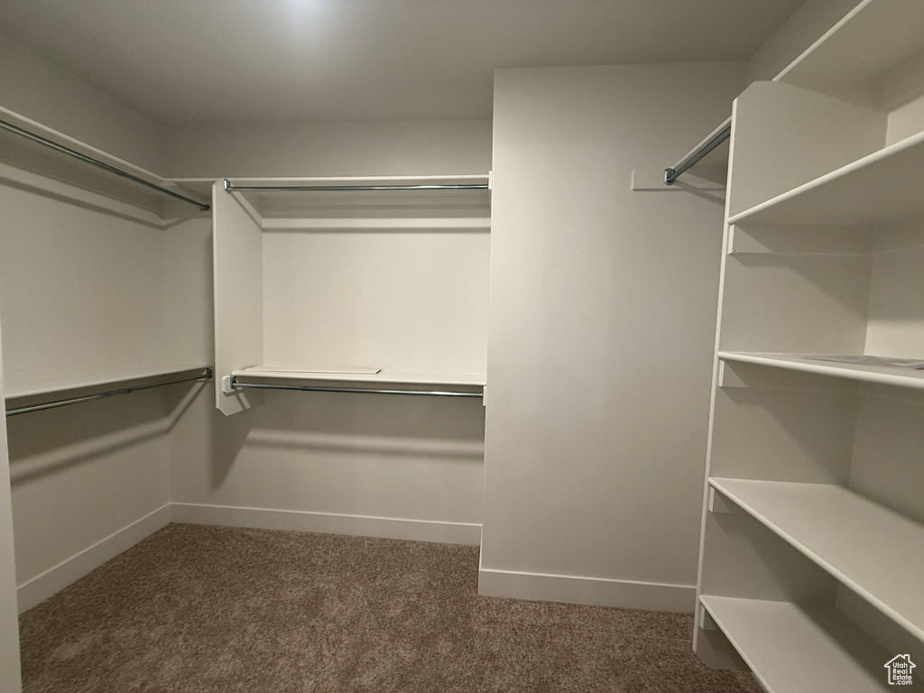 Spacious closet featuring carpet