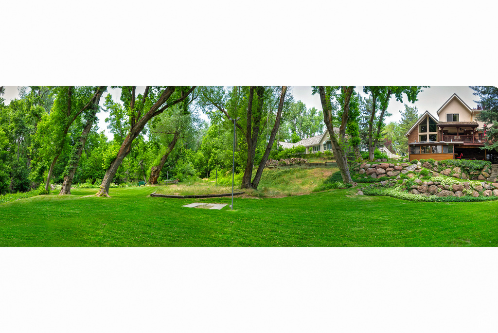 View of grassy yard