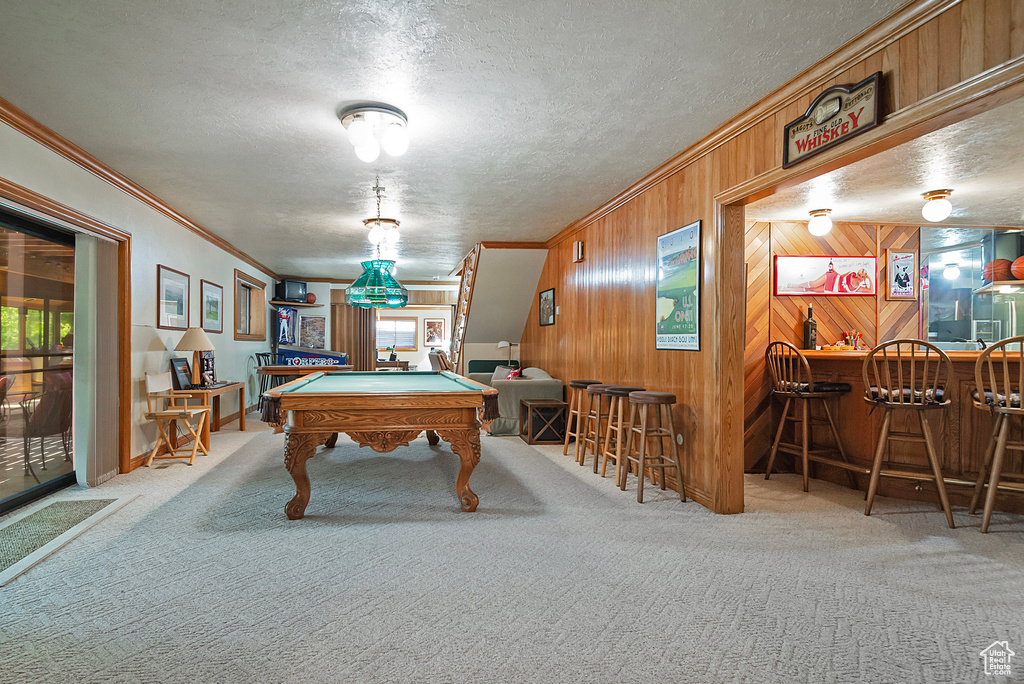 Recreation room with a dry bar, ornamental molding, billiards table, carpet, and a textured ceiling