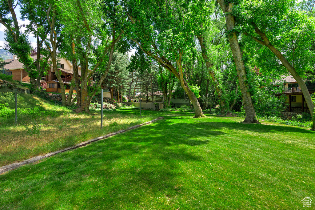 View of green lawn