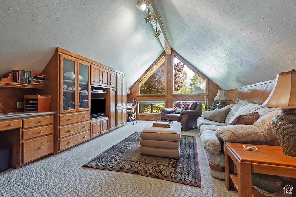 Carpeted living room featuring a textured ceiling, lofted ceiling, wood walls, rail lighting, and a desk