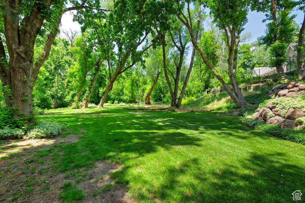 View of grassy yard