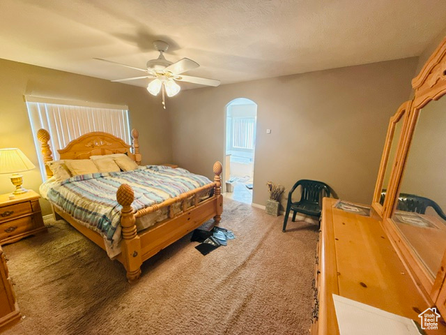 Carpeted bedroom featuring arched walkways, multiple windows, a ceiling fan, and baseboards