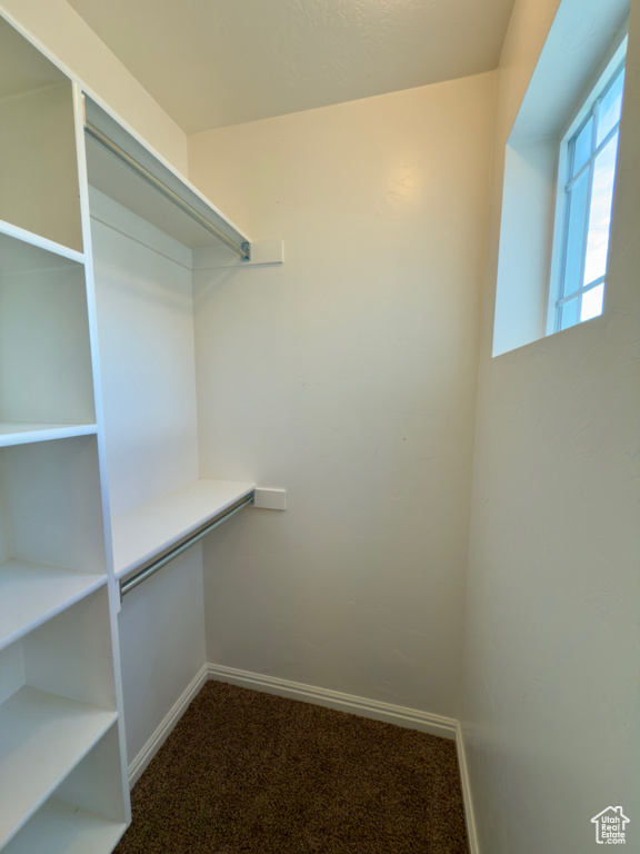 Walk in closet featuring carpet