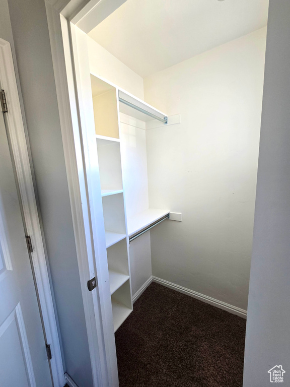 Spacious closet featuring dark carpet