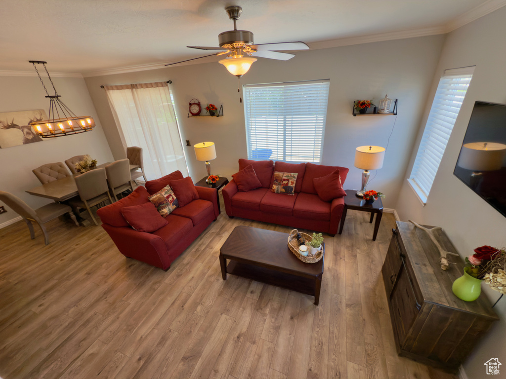 Living room featuring light wood-style floors, crown molding, ceiling fan, a chandelier, and baseboards