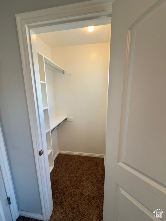 Spacious closet featuring carpet flooring