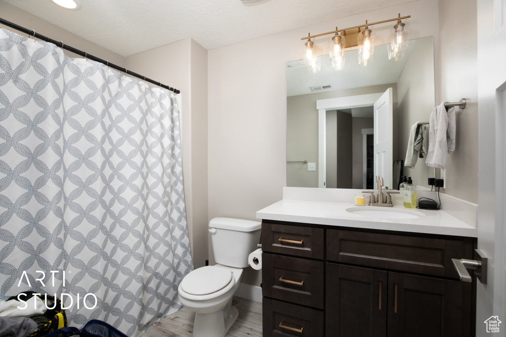 Bathroom featuring toilet, vanity, and curtained shower