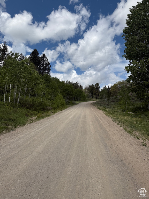 View of dirt / gravel road