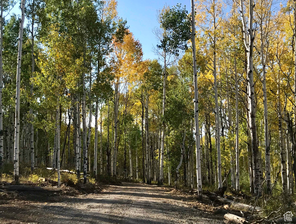 View of road featuring a wooded view