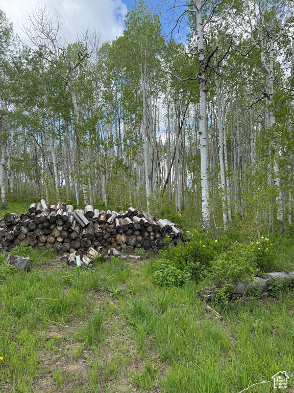 View of nature