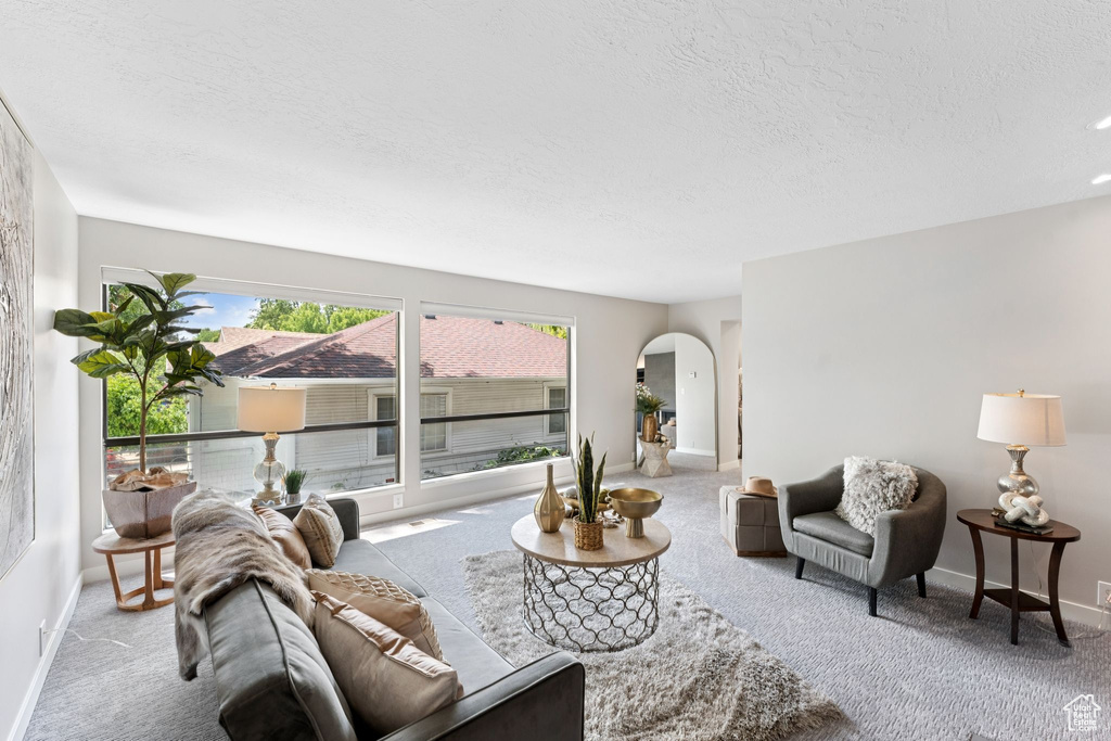 Living room featuring arched walkways, a textured ceiling, carpet floors, and baseboards