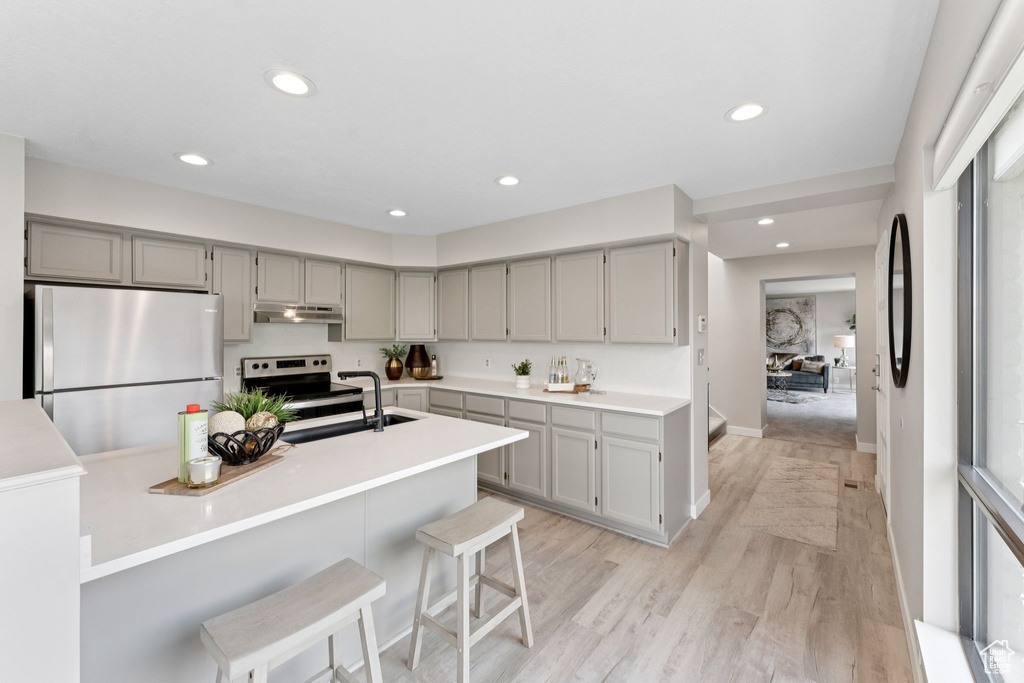 Kitchen with stainless steel appliances, gray cabinets, under cabinet range hood, light wood finished floors, and a sink