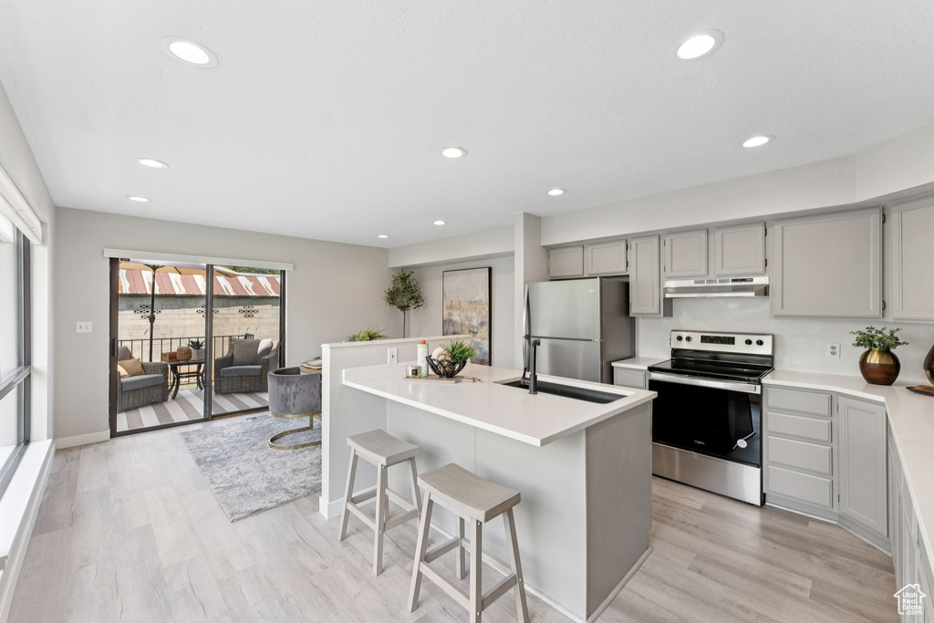 Kitchen featuring appliances with stainless steel finishes, under cabinet range hood, light wood-style floors, a sink, and gray cabinets