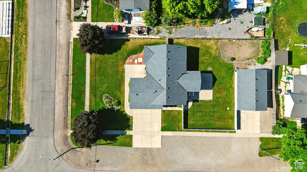 Bird\'s eye view