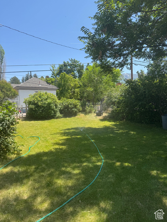 View of green lawn