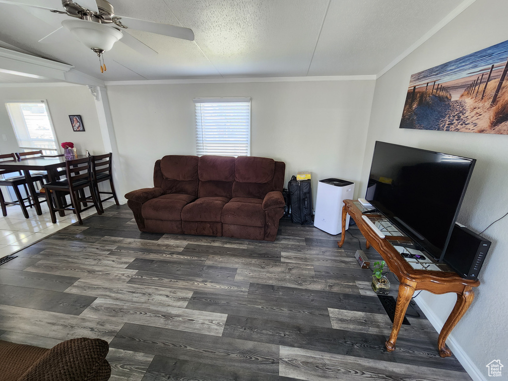 Living room with a ceiling fan, ornamental molding, and wood finished floors