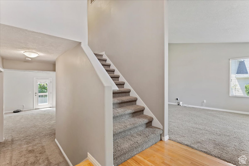 Staircase with plenty of natural light, carpet, a textured ceiling, and baseboards