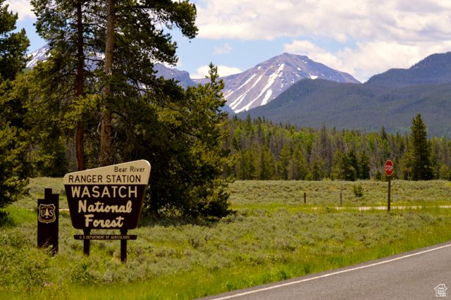 View of mountain background with a heavily wooded area