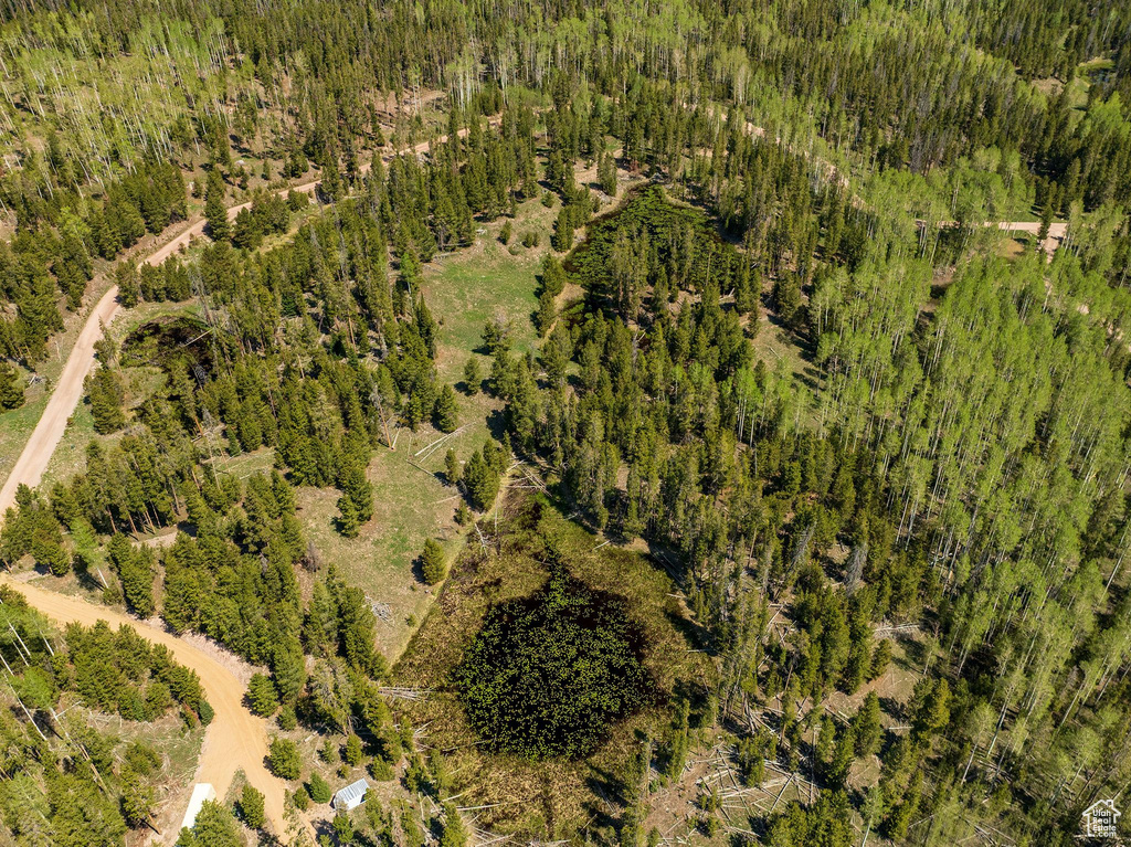 Aerial overview of property\'s location with a forest