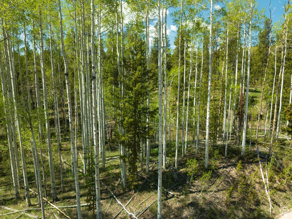 View of nature