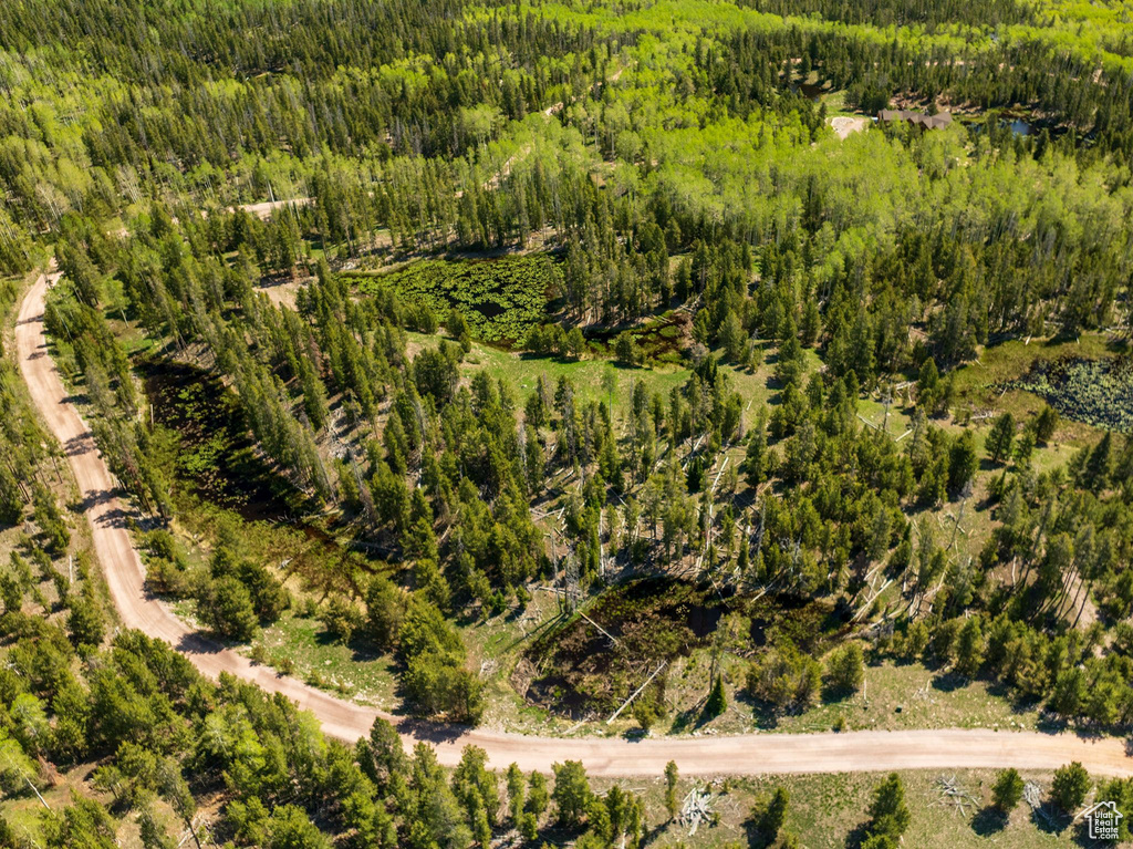 Bird\'s eye view of a forest