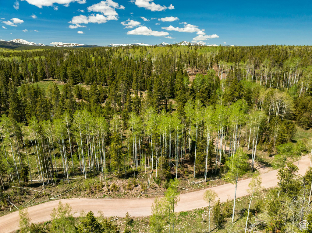 View of mountain background with a heavily wooded area