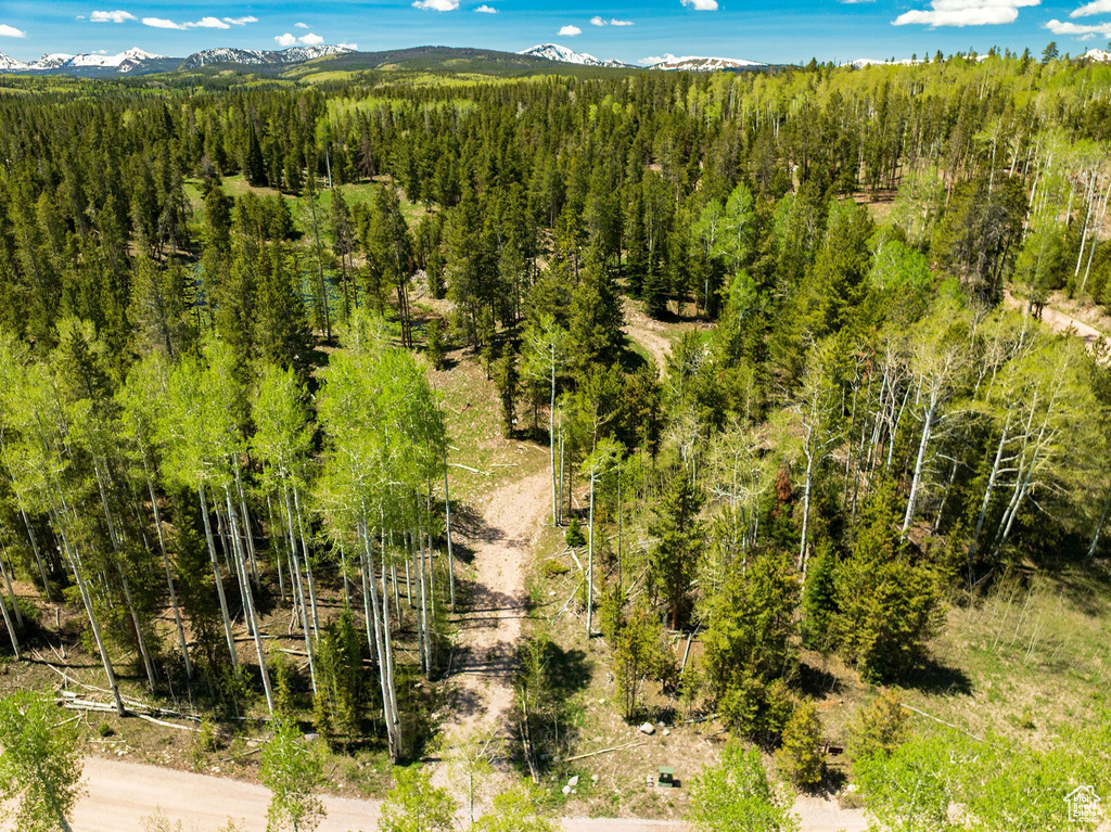 Bird\'s eye view of a heavily wooded area and a mountainous background