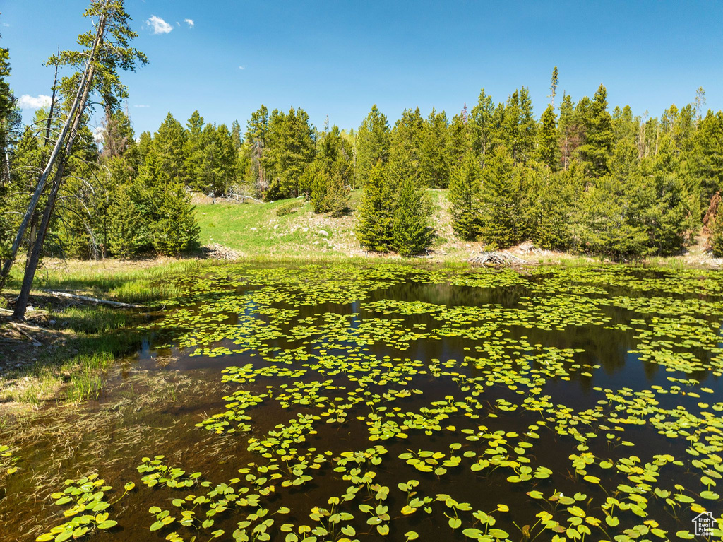 View of nature featuring a nearby body of water