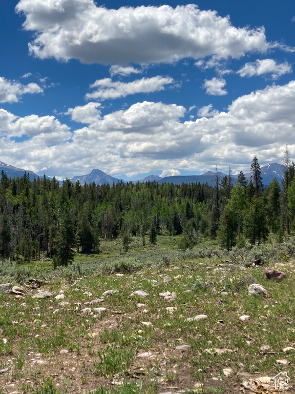 View of mountain background with a forest