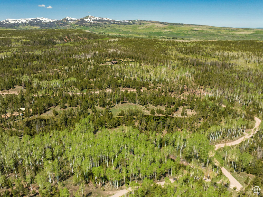 Aerial overview of property\'s location featuring mountains and a heavily wooded area
