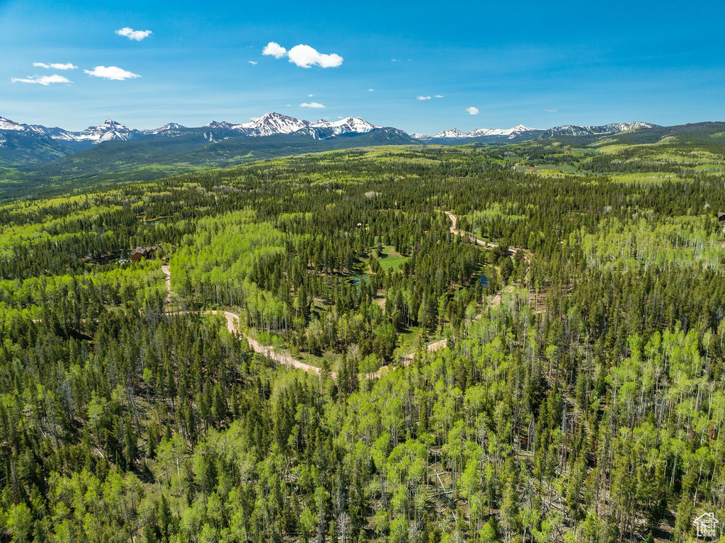View of mountain background featuring a heavily wooded area
