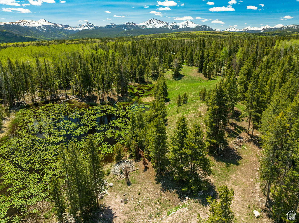 Aerial view of a mountainous background and a heavily wooded area