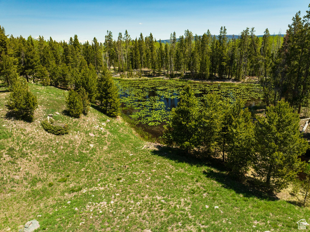 View of undeveloped land