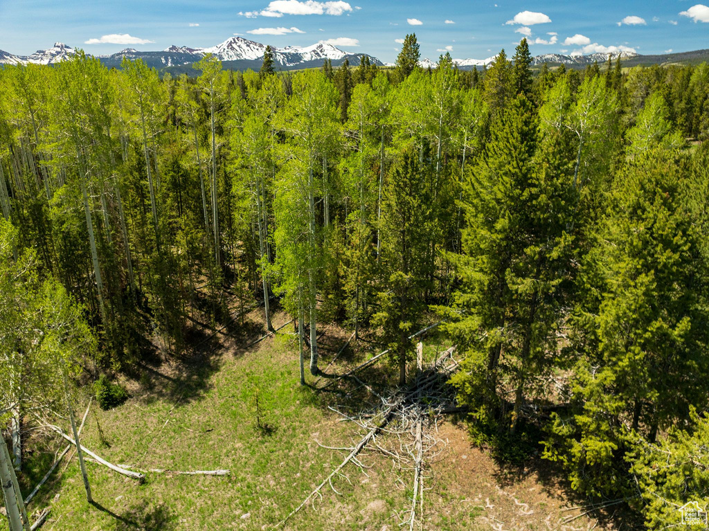 Bird\'s eye view of a mountainous background and a forest