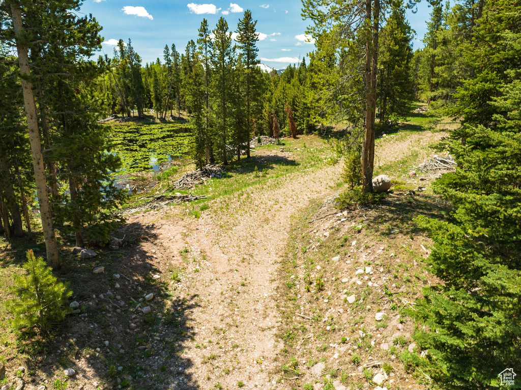 View of street with a wooded view