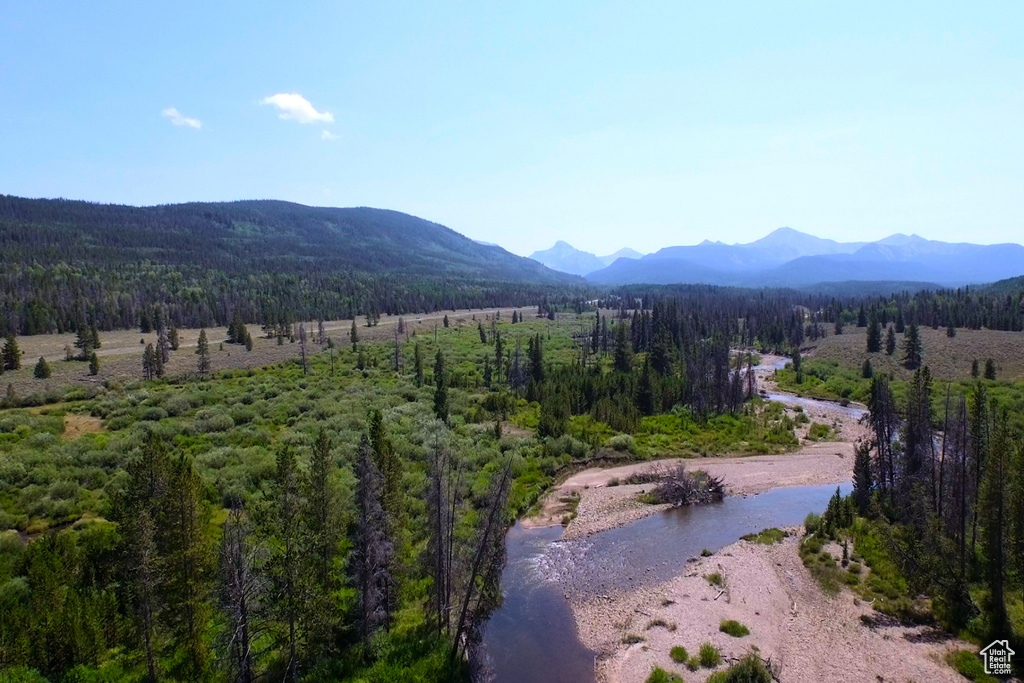 View of mountain backdrop with a forest