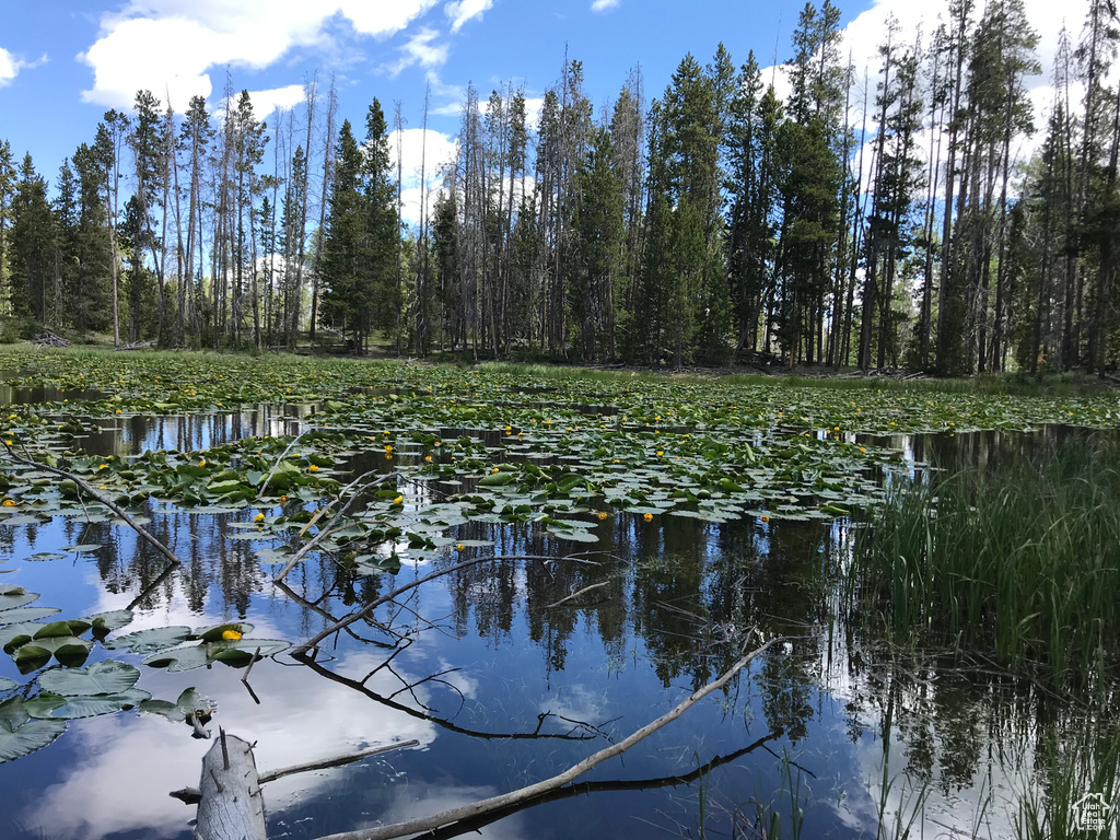 Water view