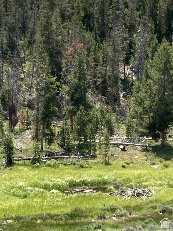 View of yard featuring a wooded view