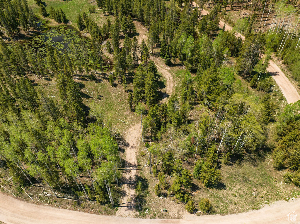 Bird\'s eye view