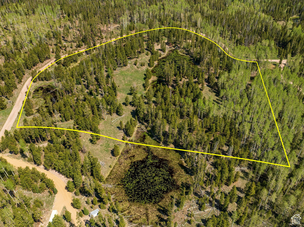 Aerial overview of property\'s location with property boundaries highlighted and a heavily wooded area
