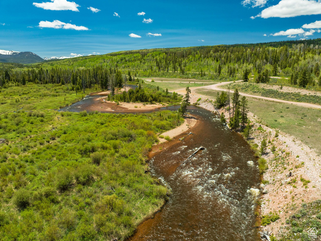 Drone / aerial view of a heavily wooded area and mountains