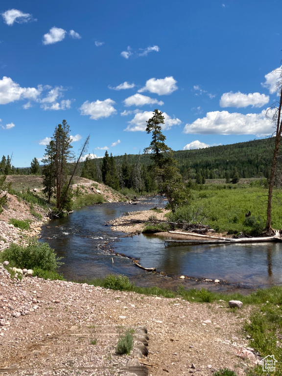 Water view with a forest